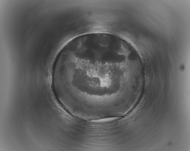 X0000097911415200803211454