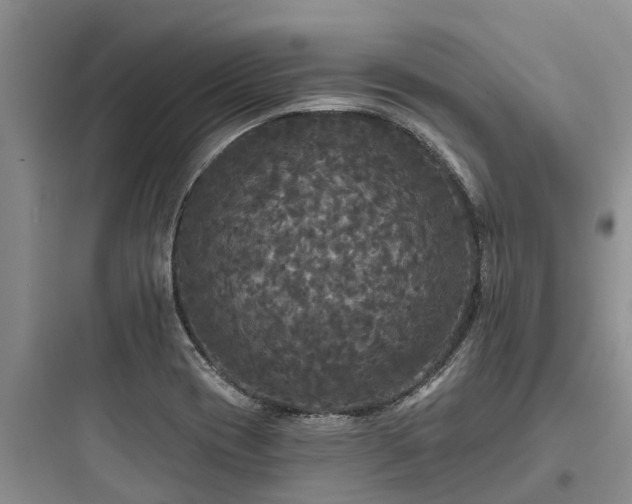 X0000097911417200803211454