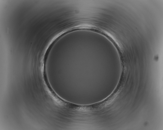 X0000097911418200803211454