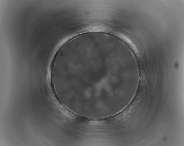 X0000097911419200803211454