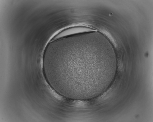 X0000097911420200803211454