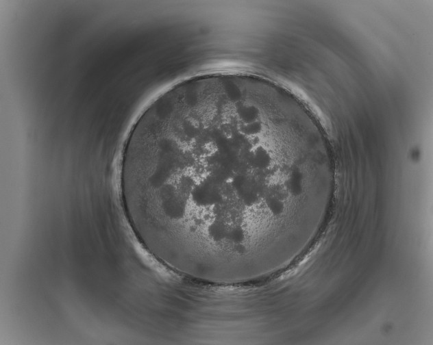 X0000097911421200803211454