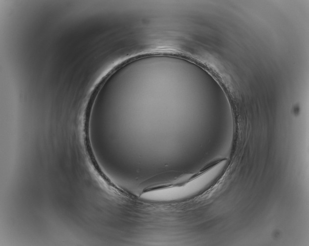 X0000097911422200803211454