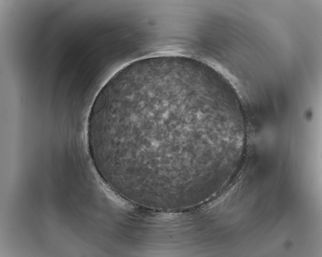 X0000097911423200803211454