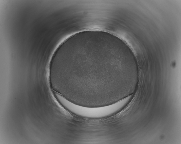 X0000097911424200803211454