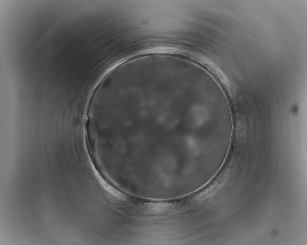 X0000097911425200803211454