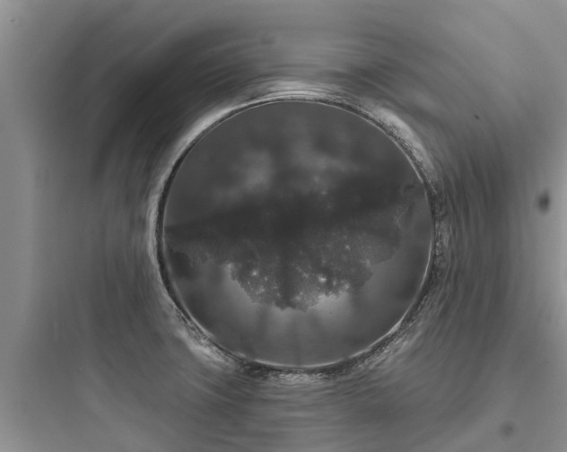 X0000097911427200803211454