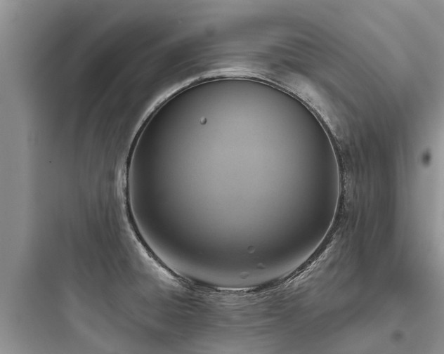 X0000097911428200803211454