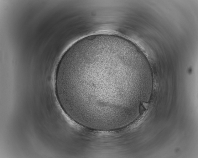 X0000097911430200803211454