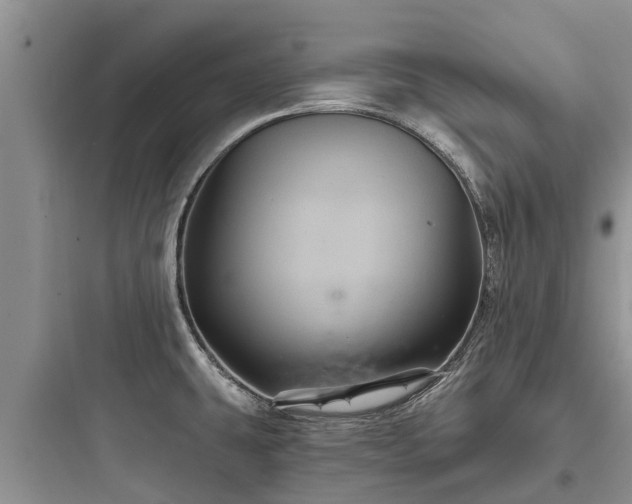 X0000097911431200803211454