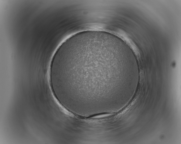 X0000097911432200803211454