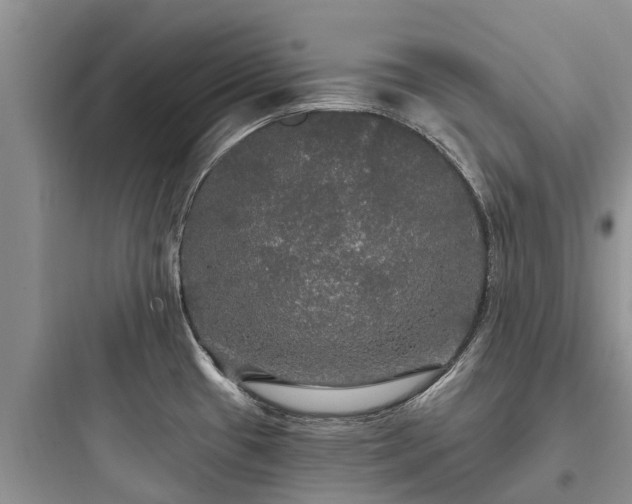 X0000097911433200803211454