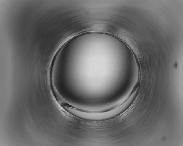 X0000097911434200803211454