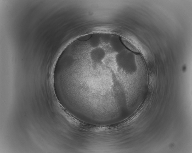 X0000097911435200803211454