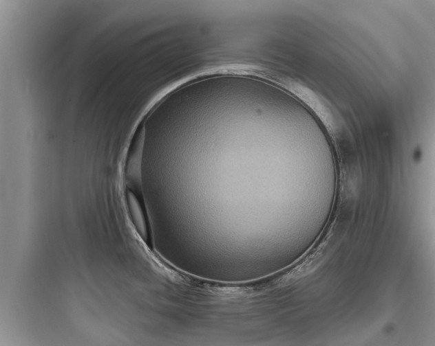 X0000097911436200803211454