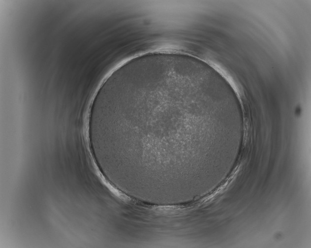 X0000097911437200803211454