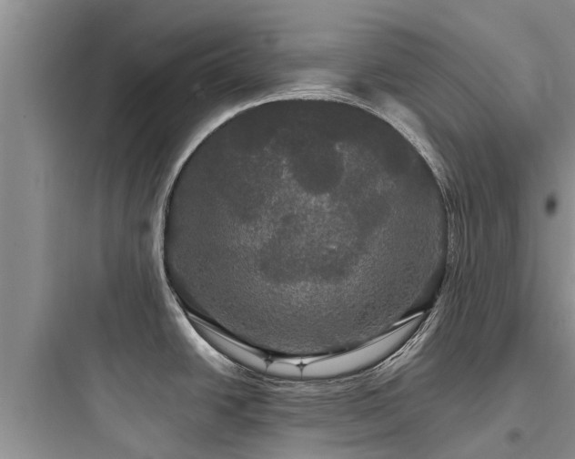 X0000097911438200803211454