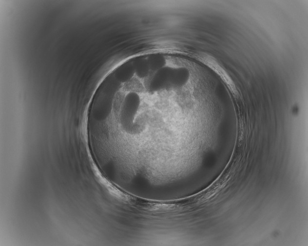 X0000097911439200803211454