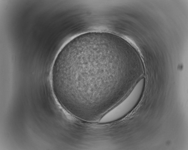 X0000097911440200803211454