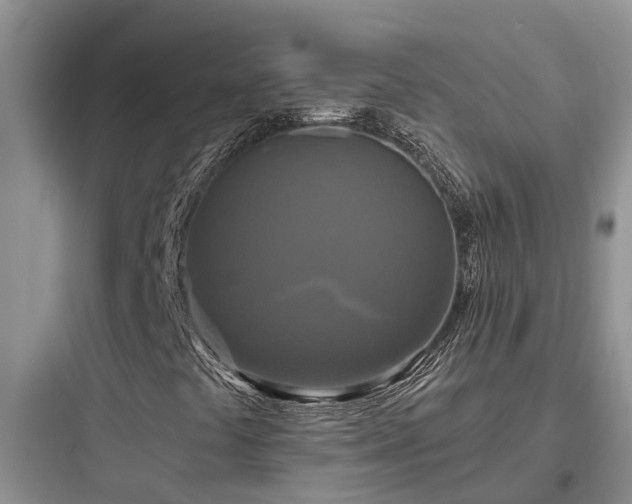 X0000097911441200803211453