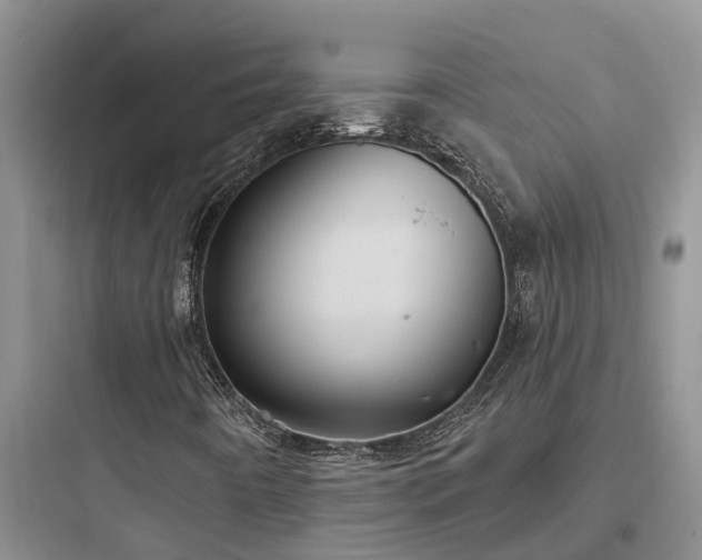 X0000097911442200803211453