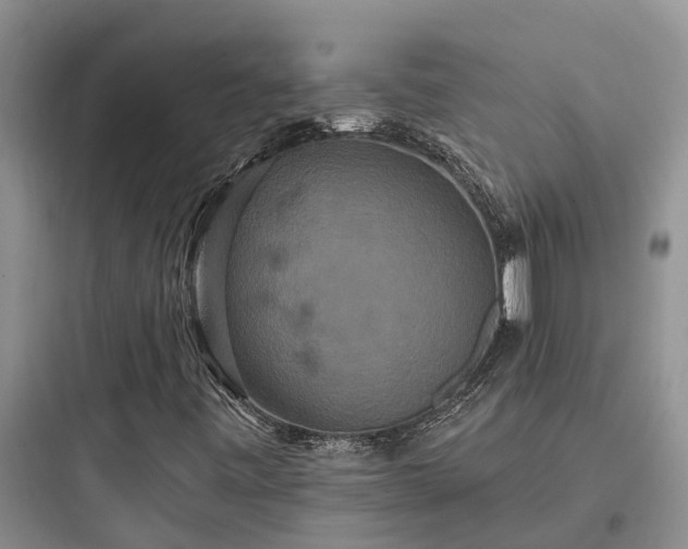 X0000097911443200803211453