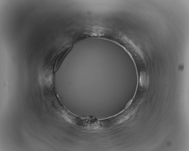 X0000097911444200803211453