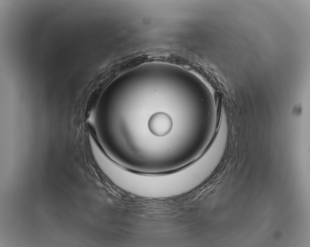 X0000097911445200803211453