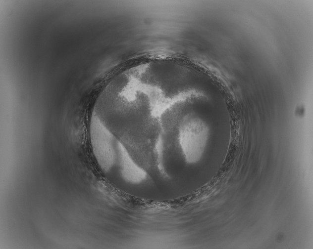 X0000097911446200803211453