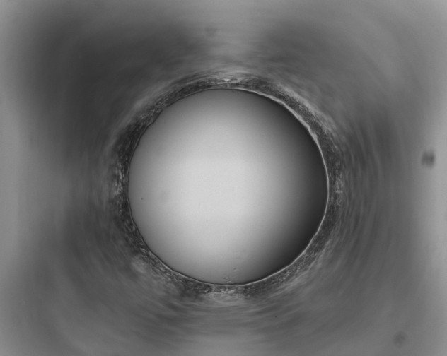 X0000097911447200803211453