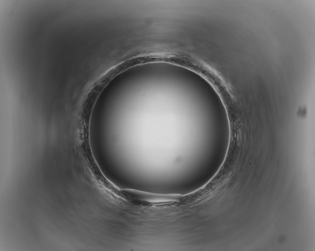 X0000097911448200803211453