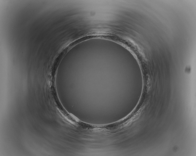 X0000097911449200803211453