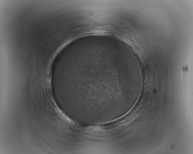 X0000097911450200803211453