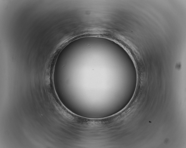 X0000097911451200803211453