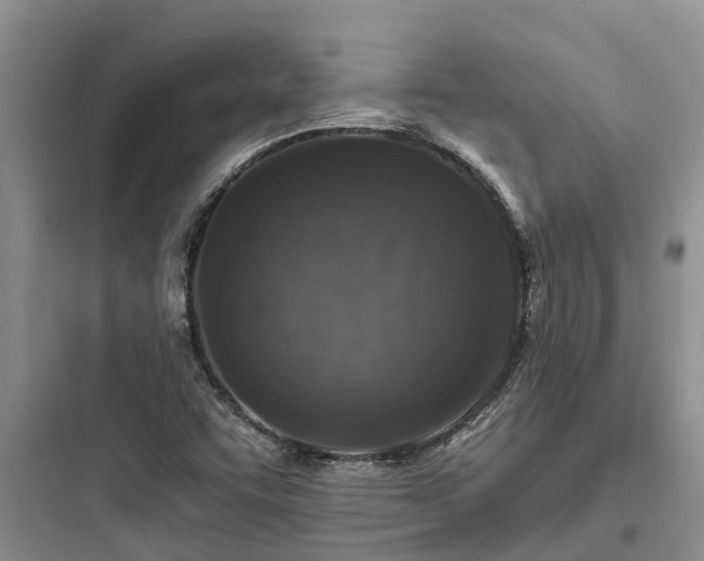 X0000097911455200803211453