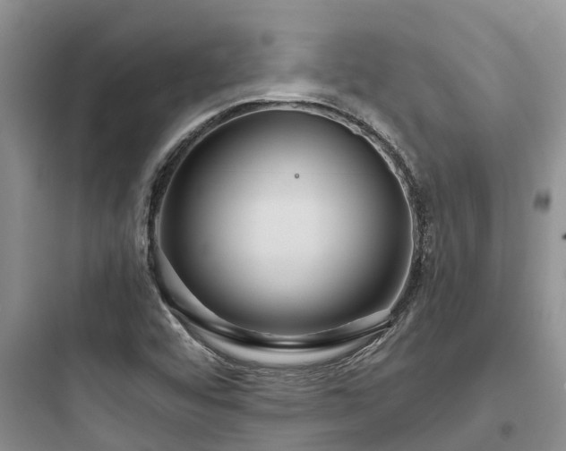 X0000097911456200803211453