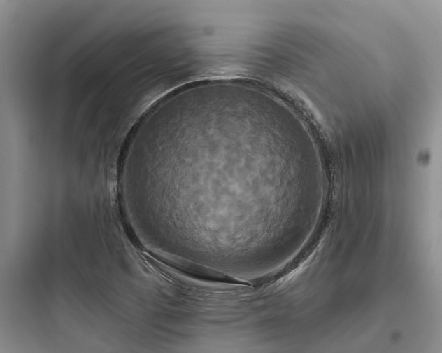 X0000097911457200803211453