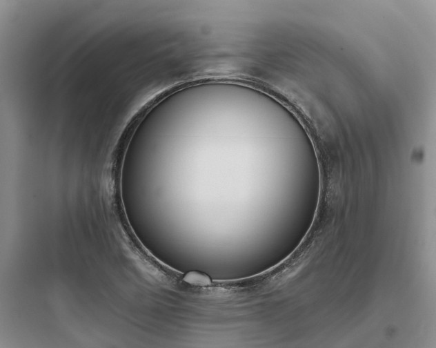 X0000097911458200803211453