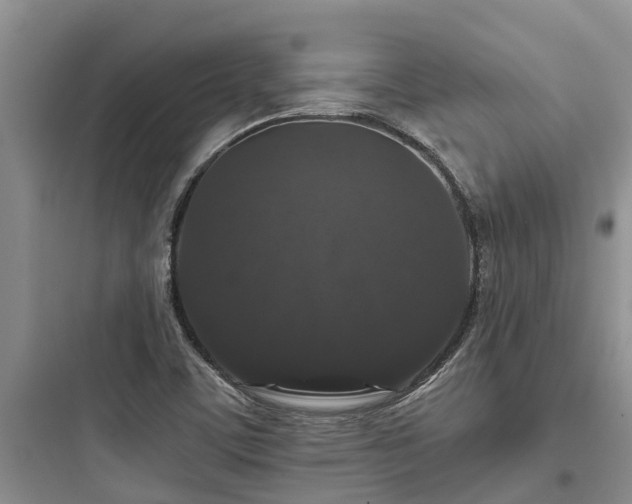 X0000097911459200803211453