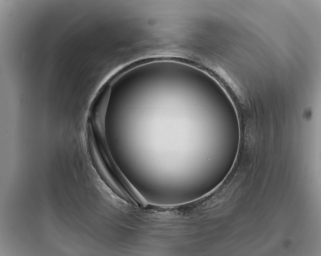 X0000097911460200803211453