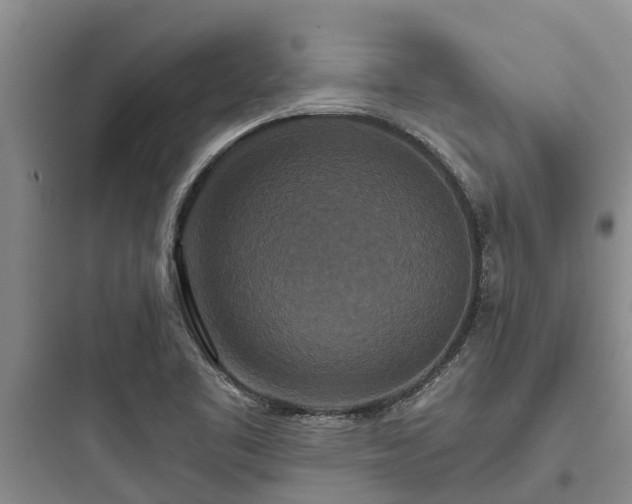 X0000097911461200803211453