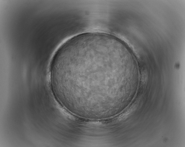 X0000097911462200803211453