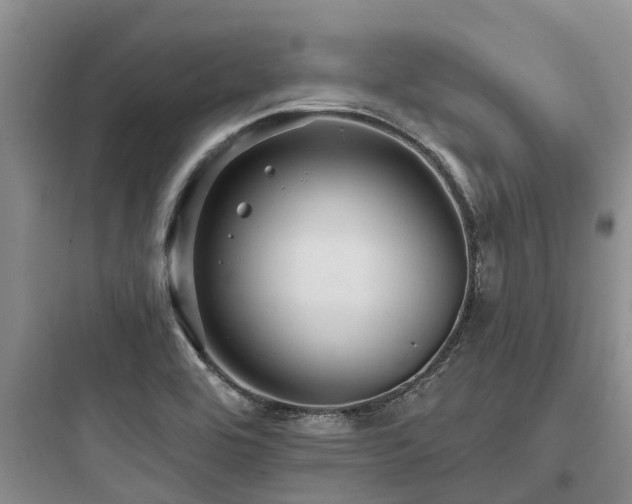 X0000097911464200803211453