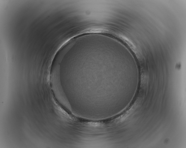 X0000097911465200803211453