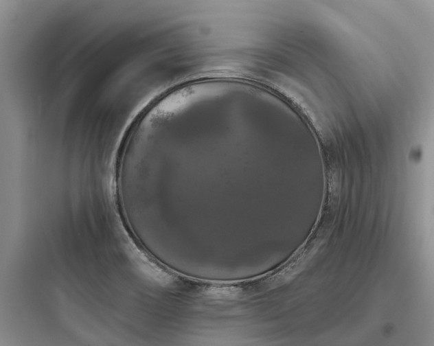 X0000097911466200803211453