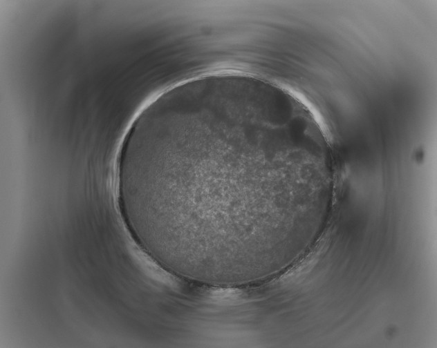 X0000097911467200803211453