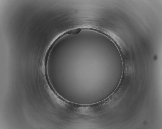 X0000097911468200803211453