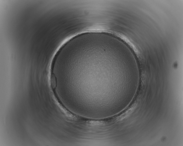 X0000097911469200803211453