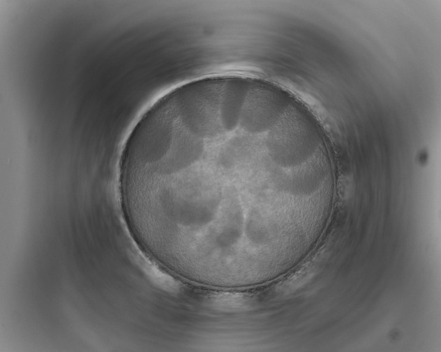 X0000097911470200803211453