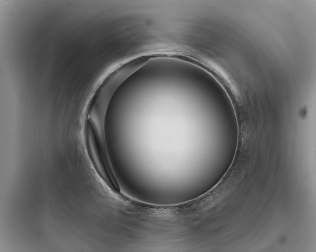 X0000097911472200803211453